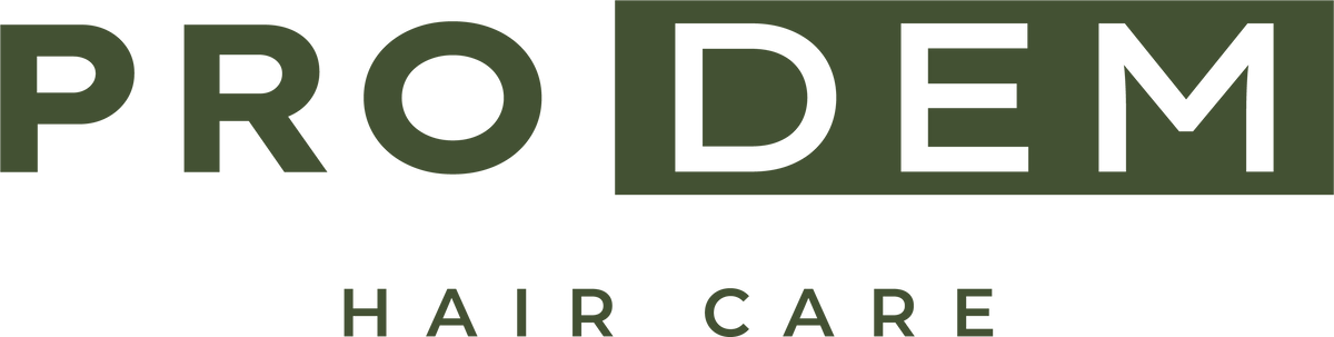 PRODEM LLC